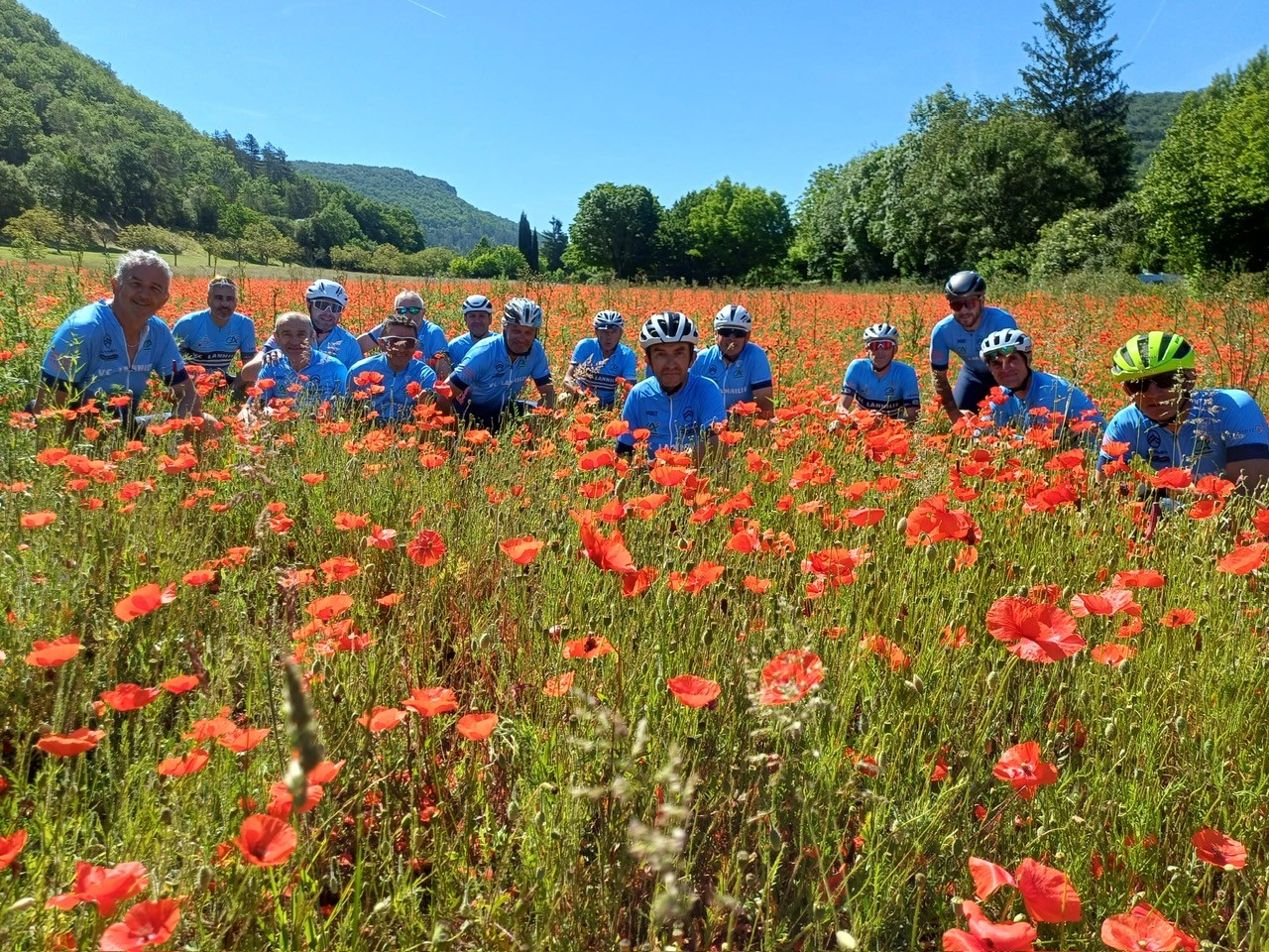 groupe coquelicots
